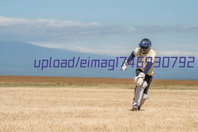 DSC_4231 拷贝.jpg